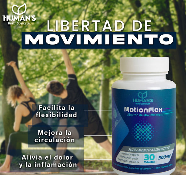 Motion Flex