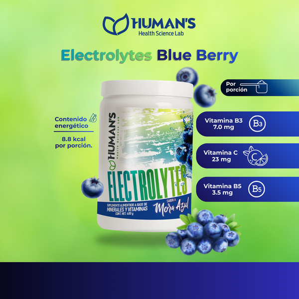Electrolytes Blue Berry 480gr